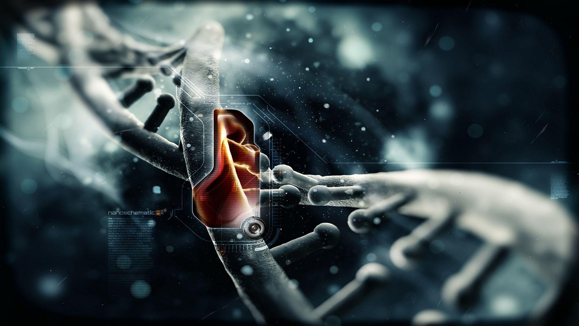 Biomedical Engineering Attachment at Chem-Labs Limited
